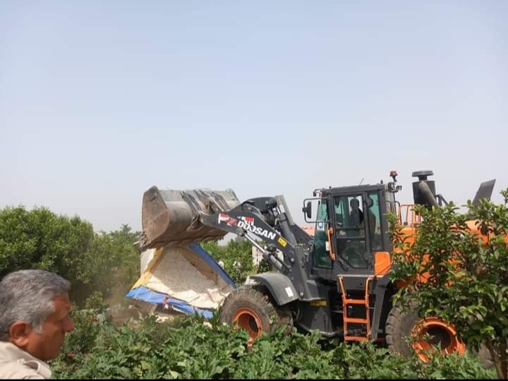 IMG_٢٠٢٣٠٥١٨_١١٥٩٢٩