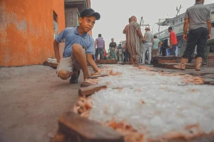 31897860-0165-448C-A414-2EF204AF3F39