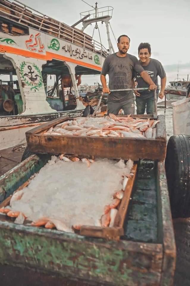 D42EDD22-C7D4-4BBB-B39A-35C9944953CE