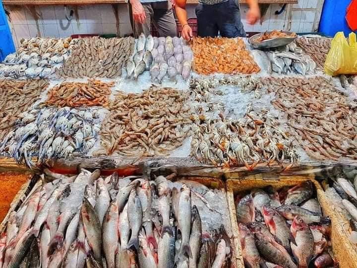 B5460925-6EF9-407D-9984-DE03C3EE5143