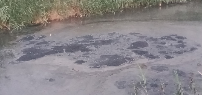 Resizer_16869047193589