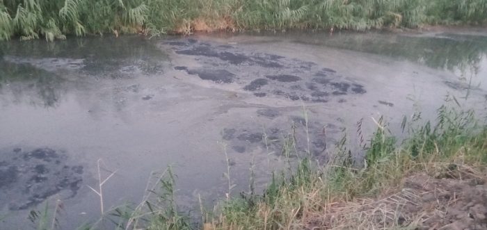 Resizer_168690472149123