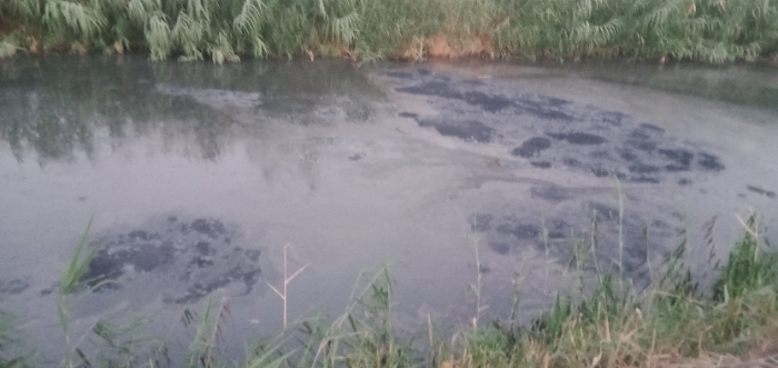 Resizer_168690472177125