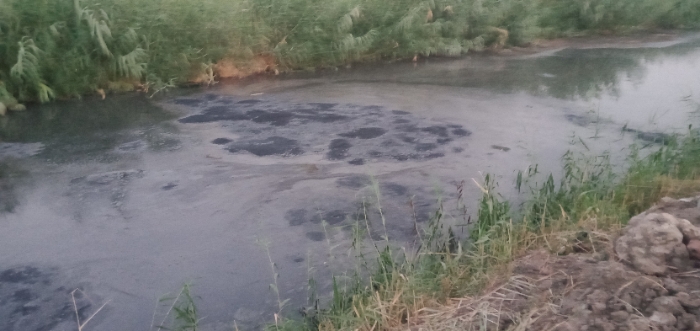 Resizer_168690472202727