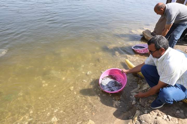 FB_IMG_1687171785155