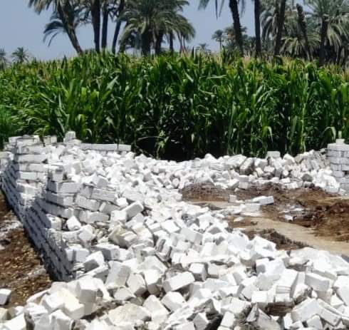 FB_IMG_1687961864885