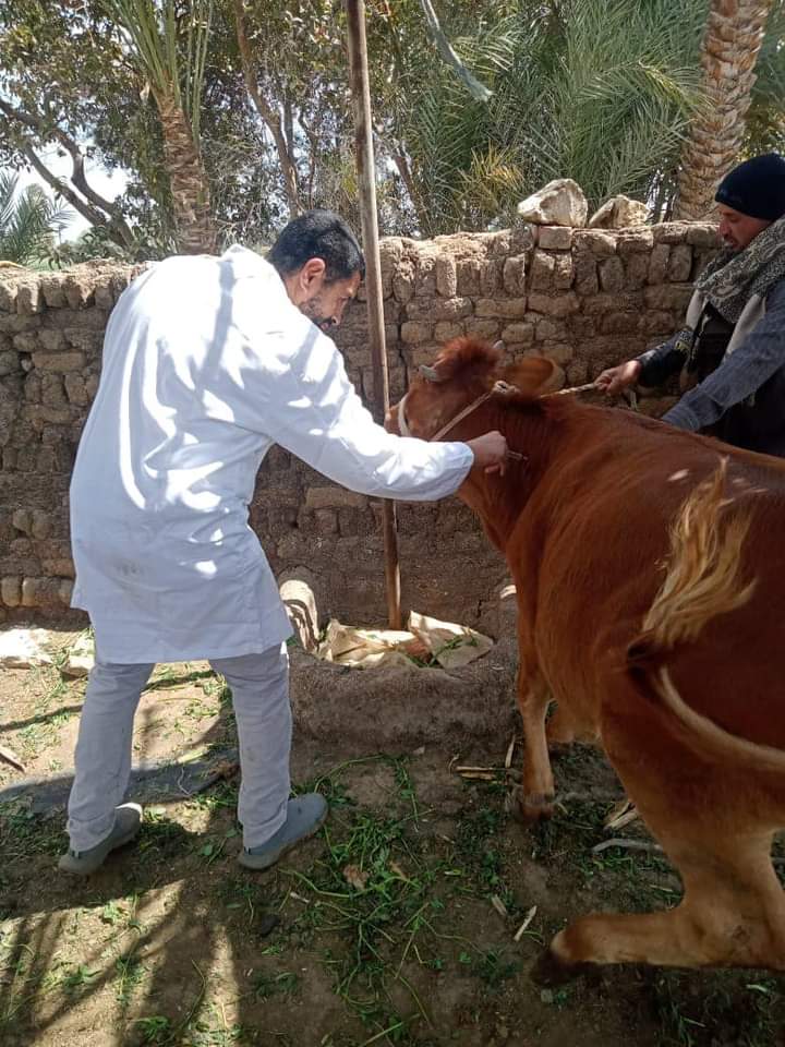 FB_IMG_1690053276997