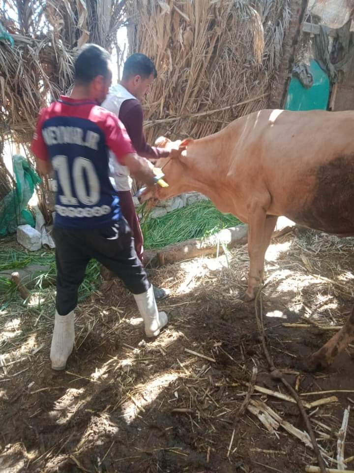 FB_IMG_1690053068534