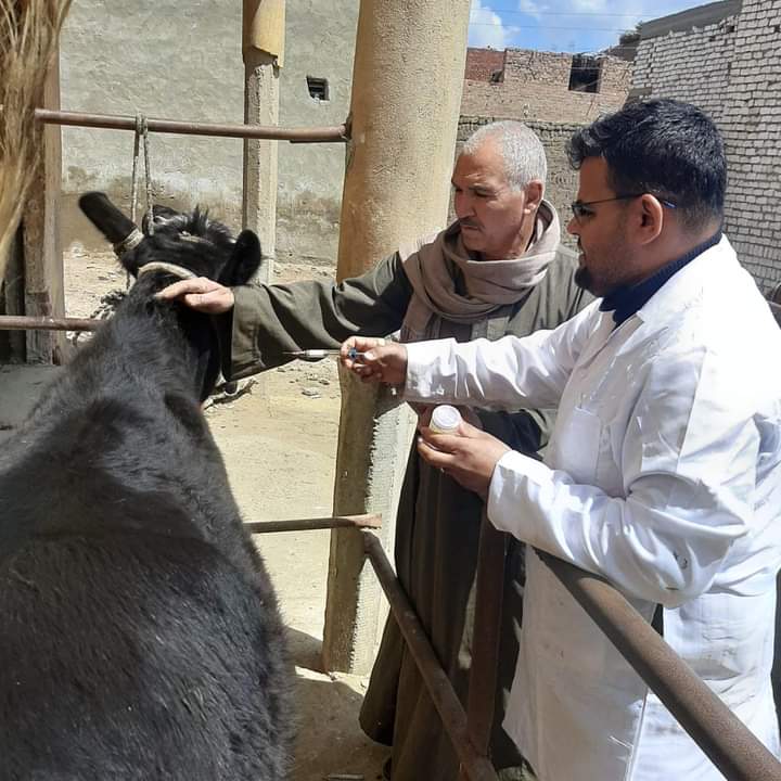 FB_IMG_1690053146640