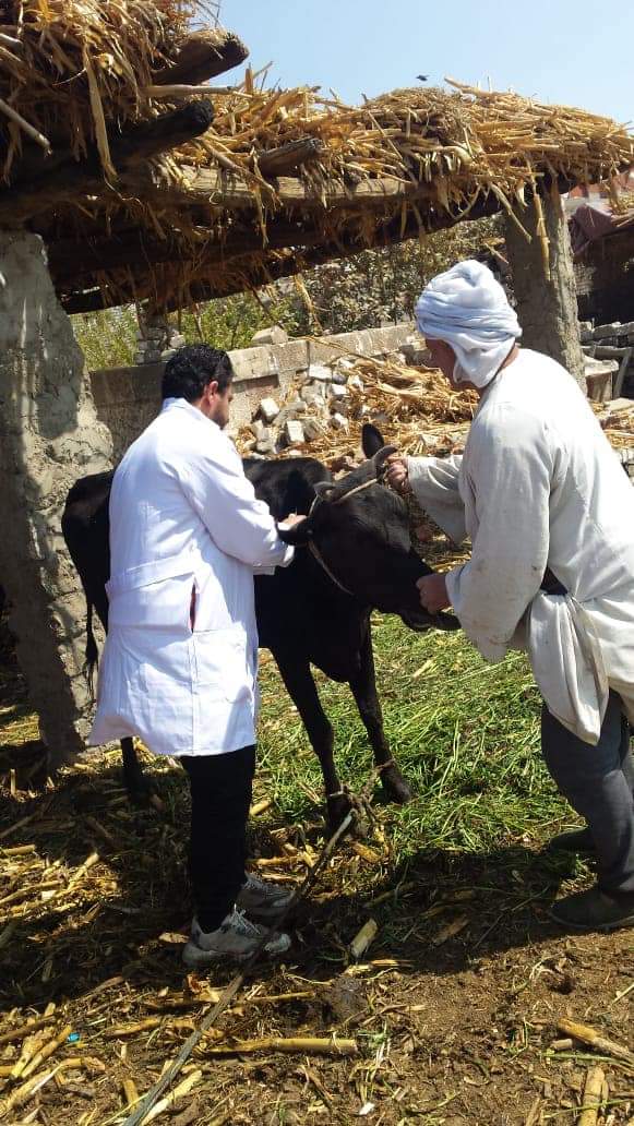 FB_IMG_1690053211463