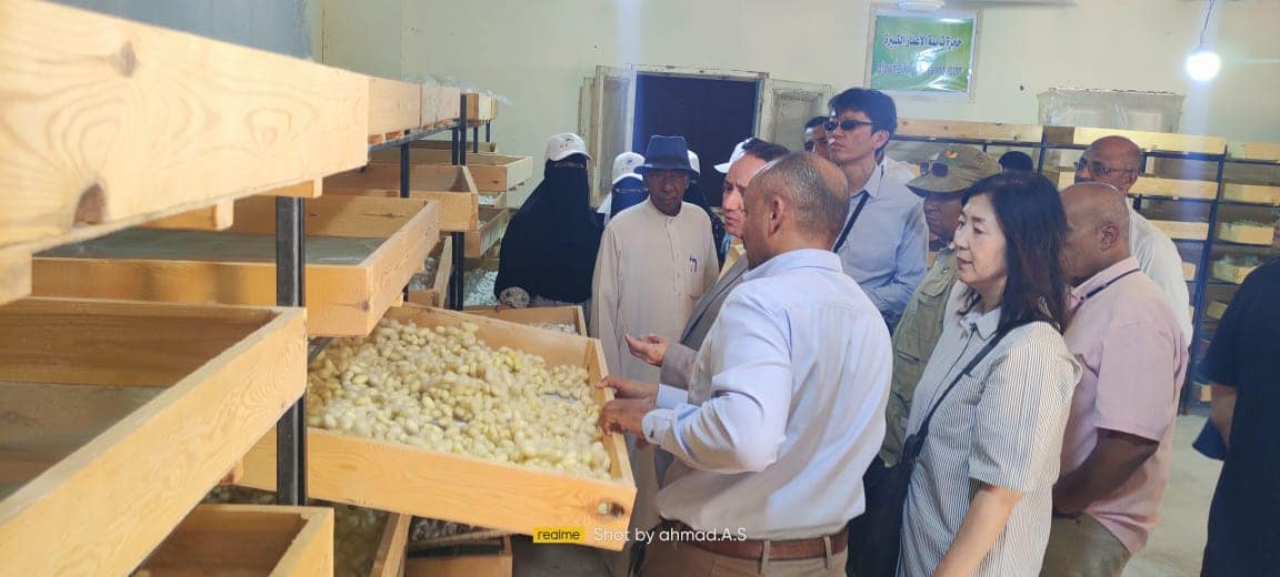 يزور رئيس مكتب جايكا بمصر مشروعات الحرف اليدوية بقرية البشندي مركز بلاط،