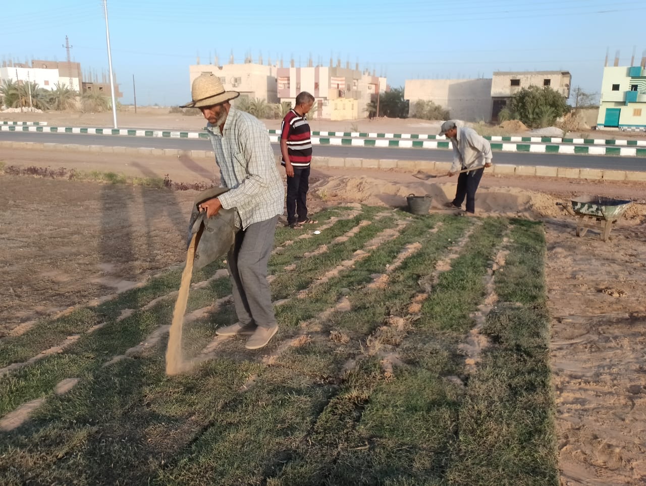 انشاء مسطح أخضر كمتنفس لأهالي الداخلة