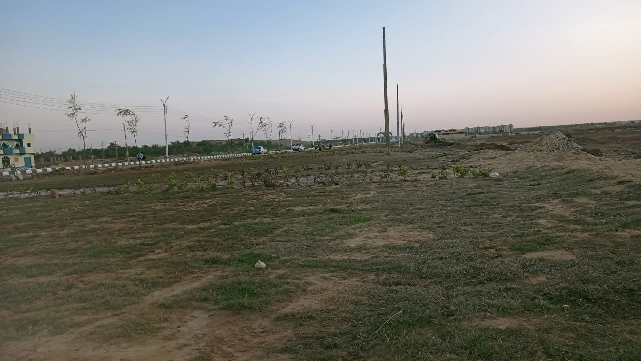 انشاء مسطح أخضر كمتنفس لأهالي الداخلة