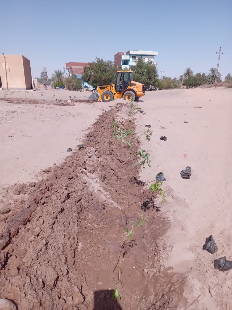 مدينة الخارجة تزرع الأشجار المثمرة في القرى التابعة لها
