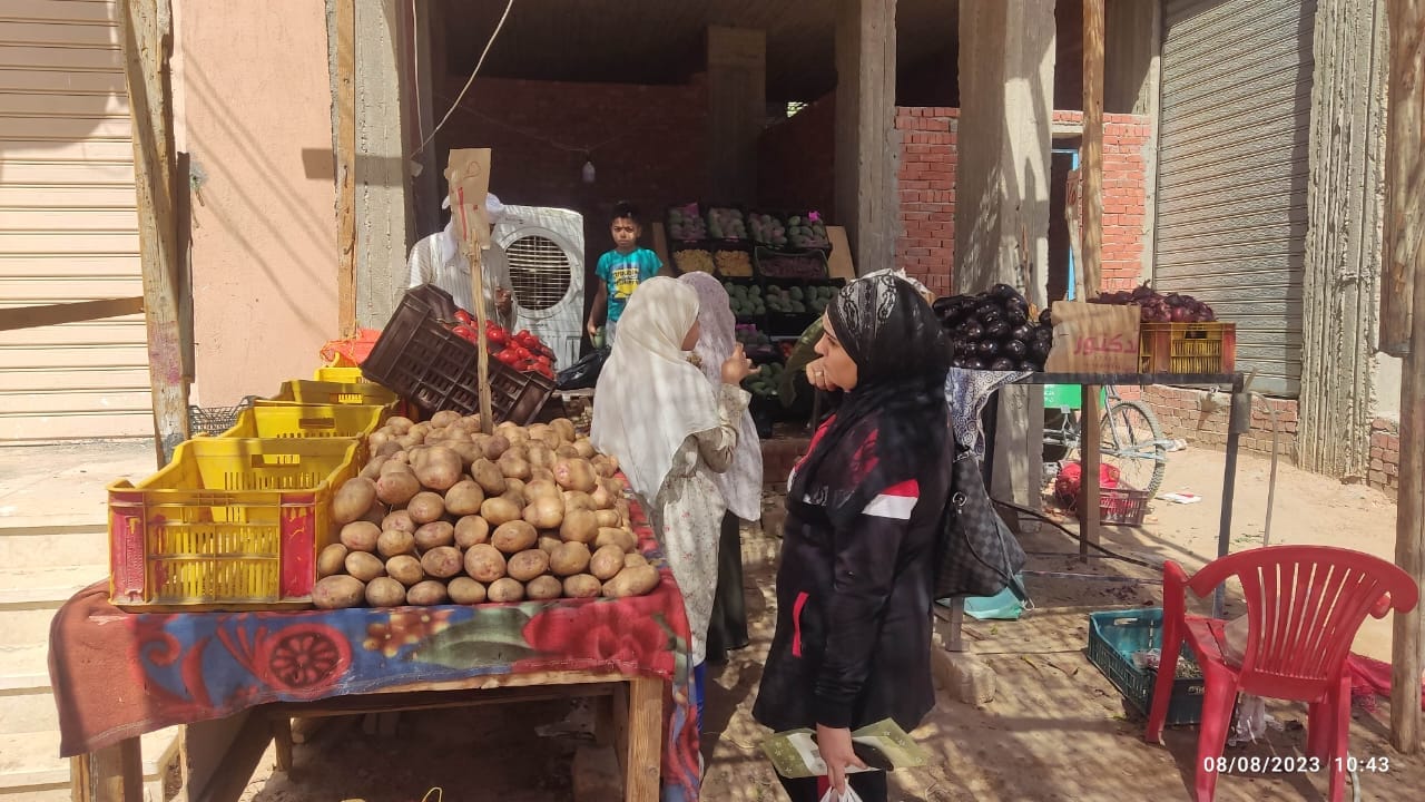 تثبيت أسعار الخضار والفاكهة في جميع منافذ الوحدة المحلية لمركز ومدينة الخارجة