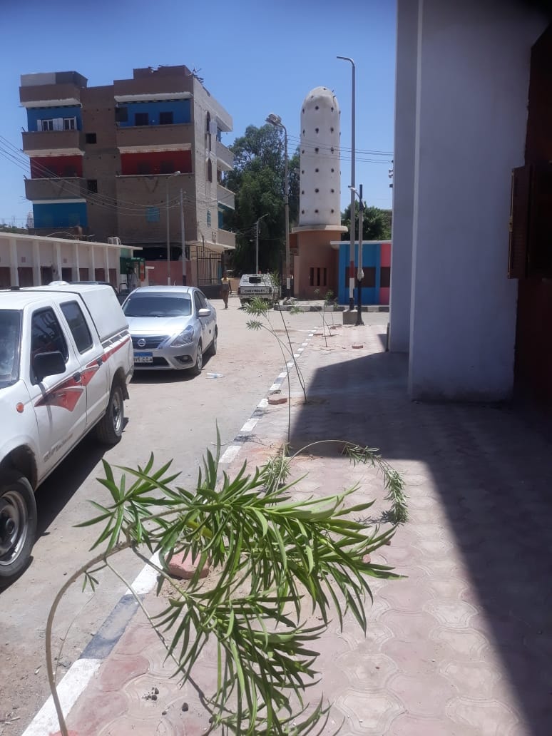 زراعة الاشجار في شوارع ابوتيج مشاركة في المبادرة الرئاسية 100 مليون شجرة