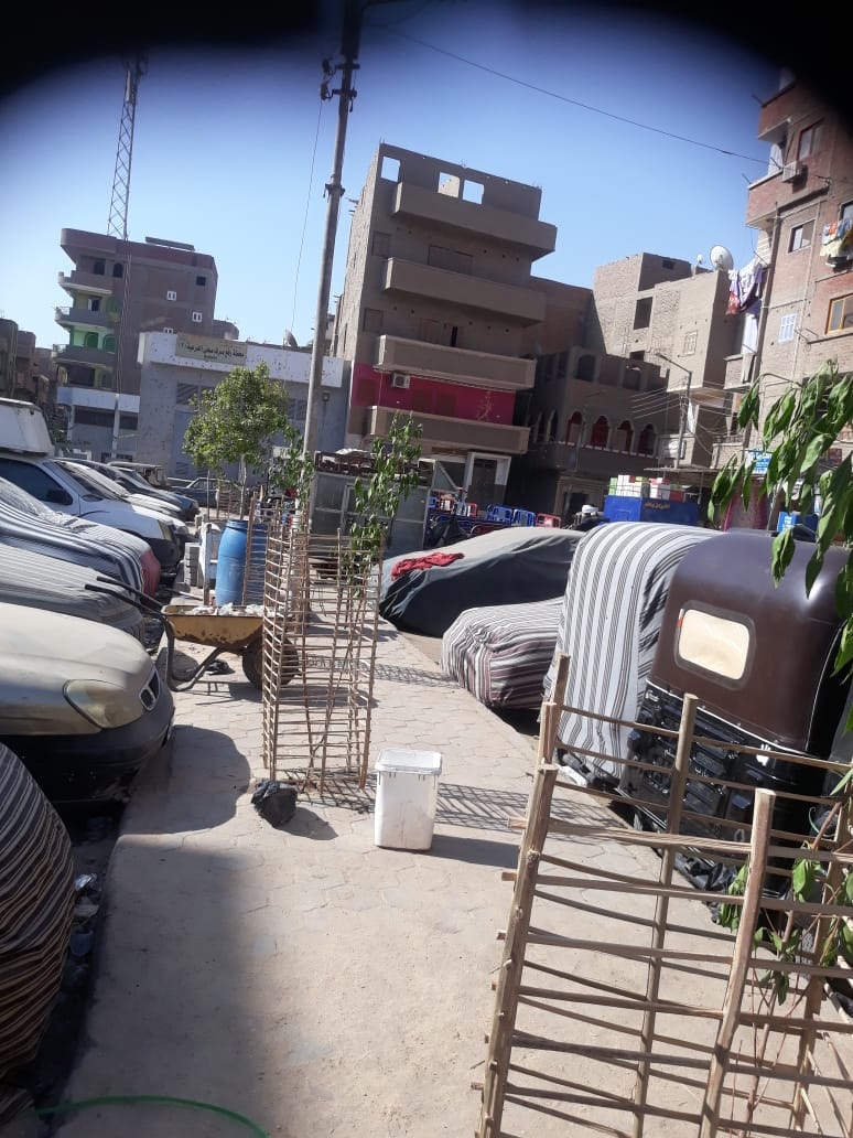 زراعة الاشجار في شوارع ابوتيج مشاركة في المبادرة الرئاسية 100 مليون شجرة