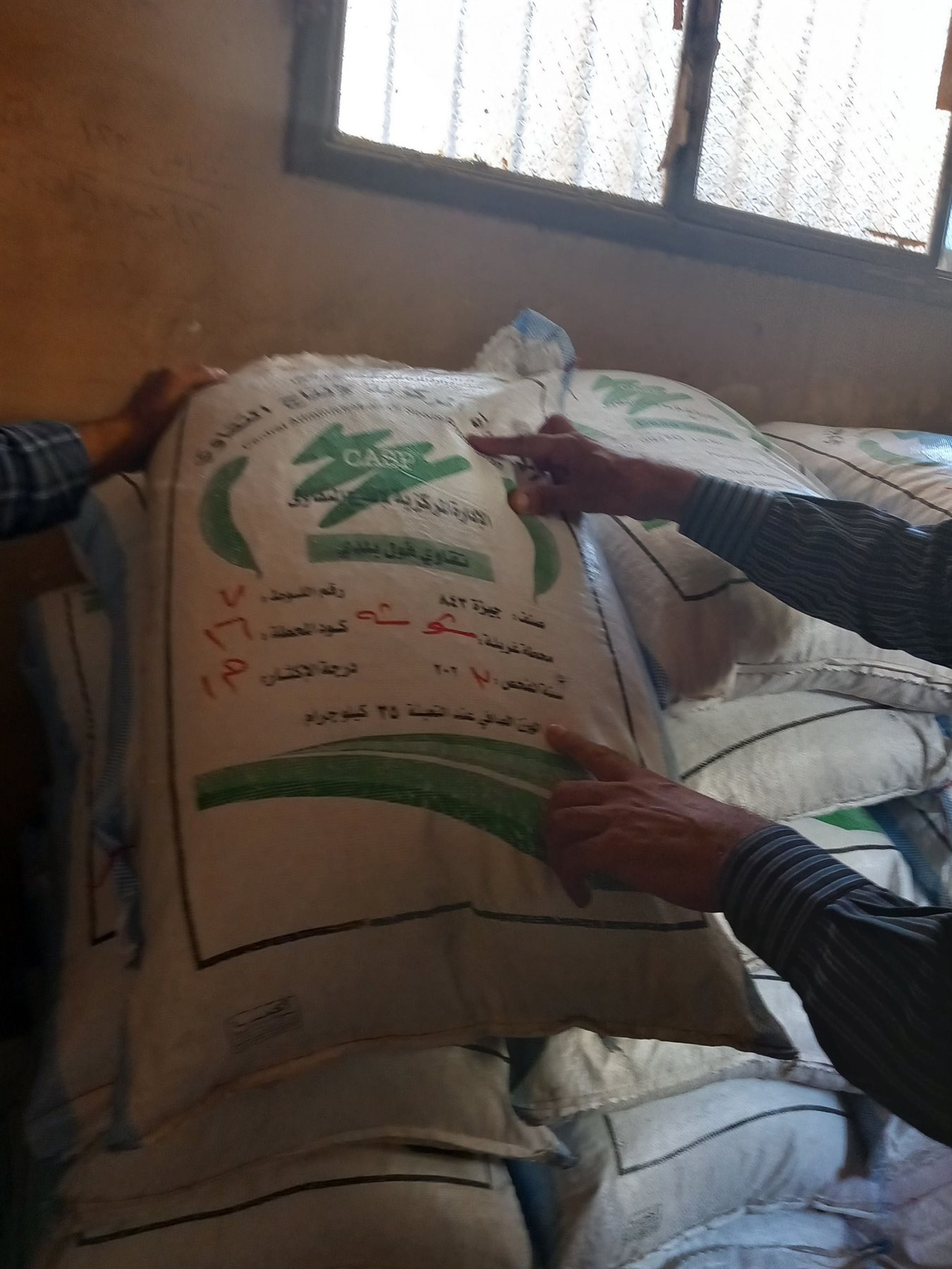 اسيوط .. تتسلم 150 طن من تقاوي الفول البلدي باصنافة المختلفة