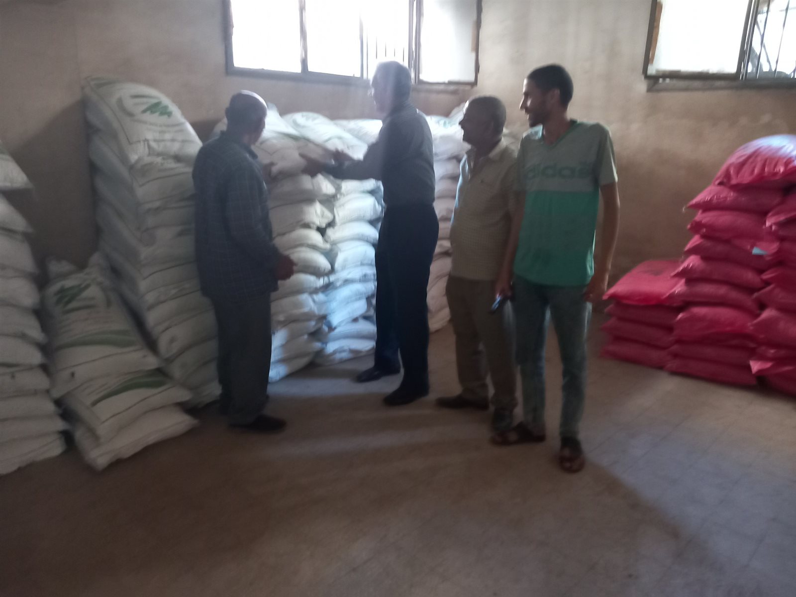 اسيوط .. تتسلم 150 طن من تقاوي الفول البلدي باصنافة المختلفة