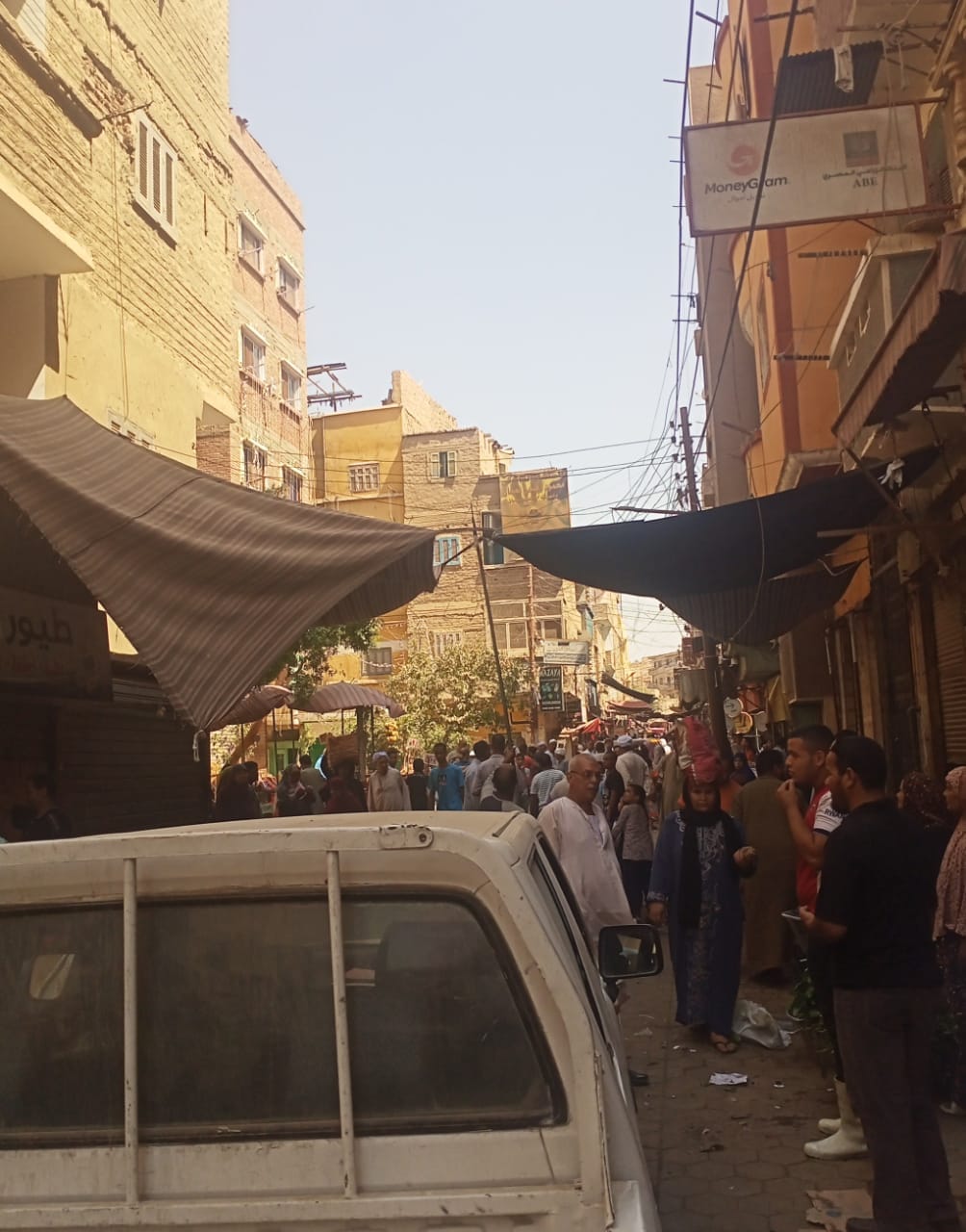 تحرير 31 محضر متنوع خلال حملة مكبرة في يوم واحد بمركز ديروط