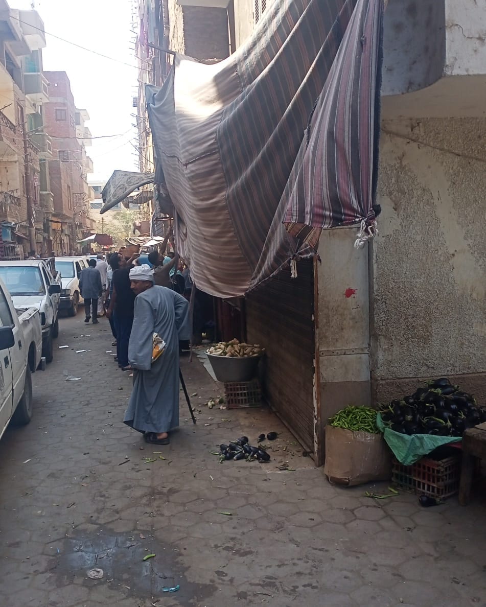 تحرير 31 محضر متنوع خلال حملة مكبرة في يوم واحد بمركز ديروط