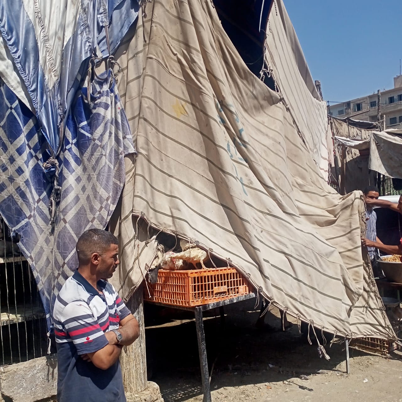 حملة مكبرة لرفع الإشغالات في شوارع مدينة ديروط