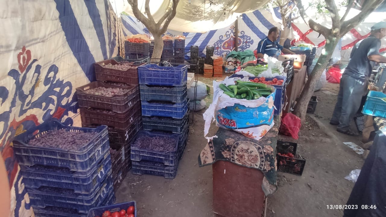 محلية الخارجة تطرح الخضر والفاكهة والدجاج بأسعار تنافسية مخفضة للمواطنين بمنافذها