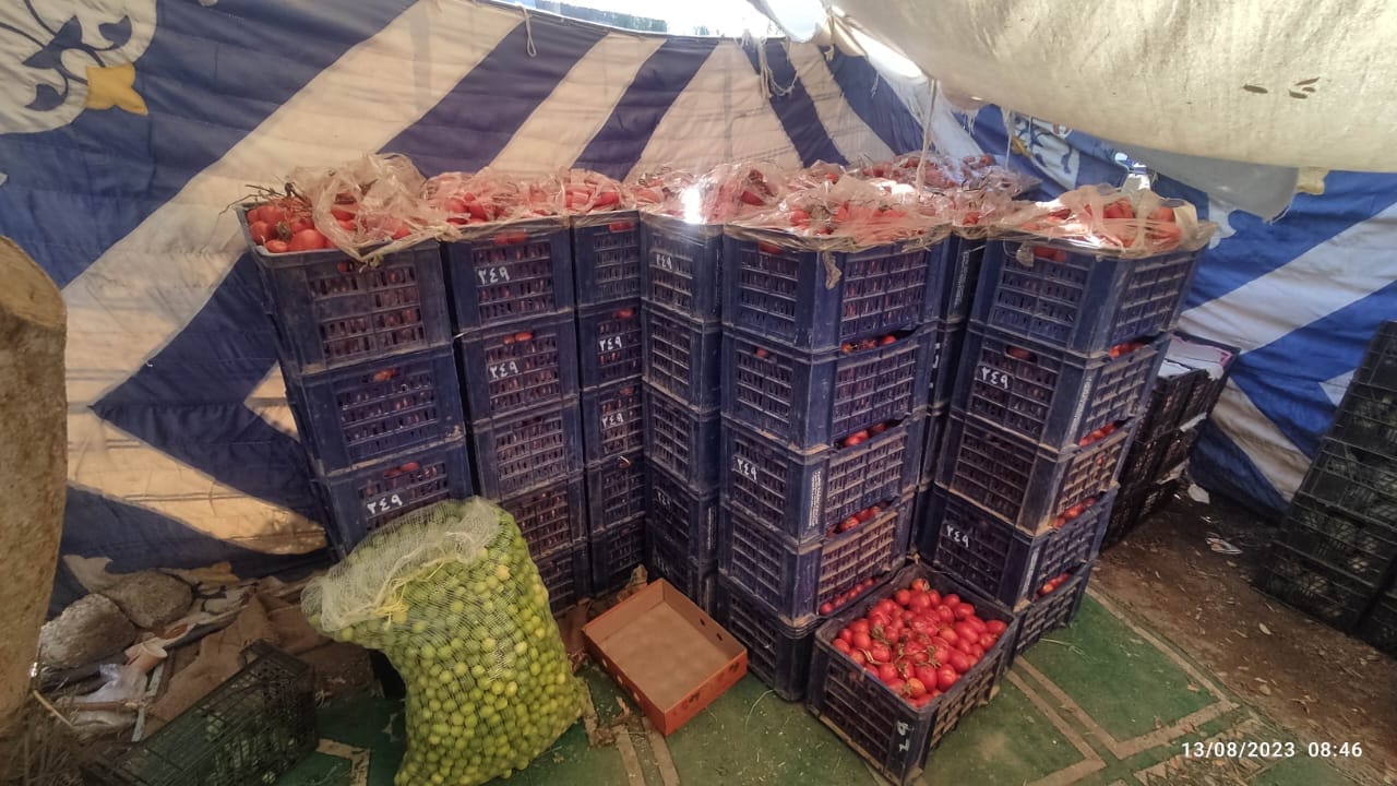 محلية الخارجة تطرح الخضر والفاكهة والدجاج بأسعار تنافسية مخفضة للمواطنين بمنافذها