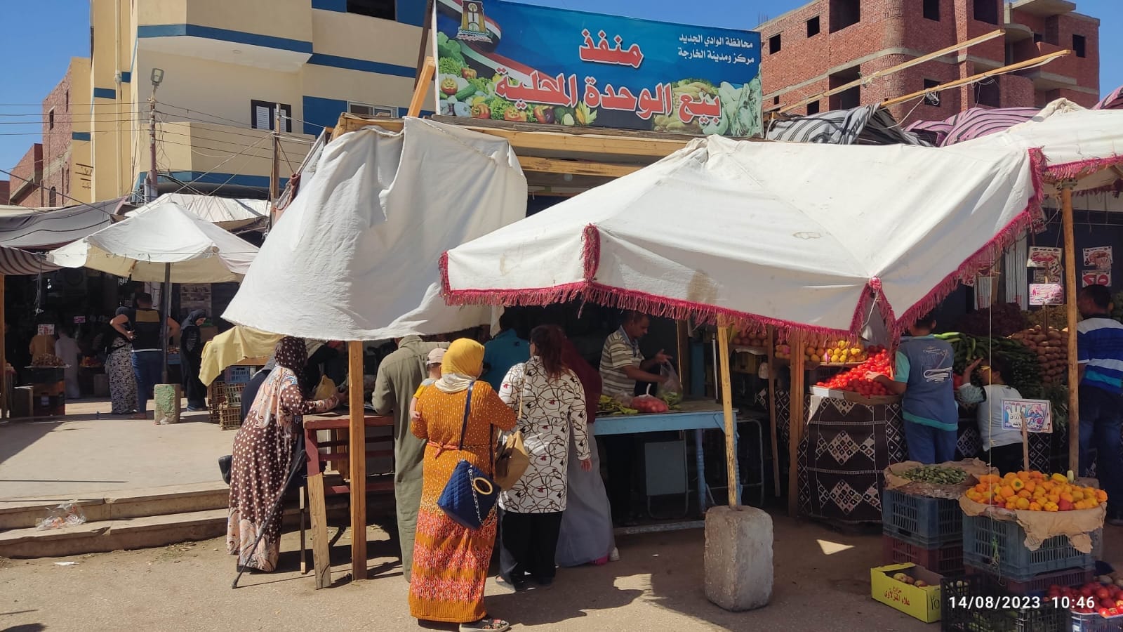 محلية الخارجة توفر الدجاج بـ 100 جنيه لكل 1100 جرام والخضراوات والفواكه