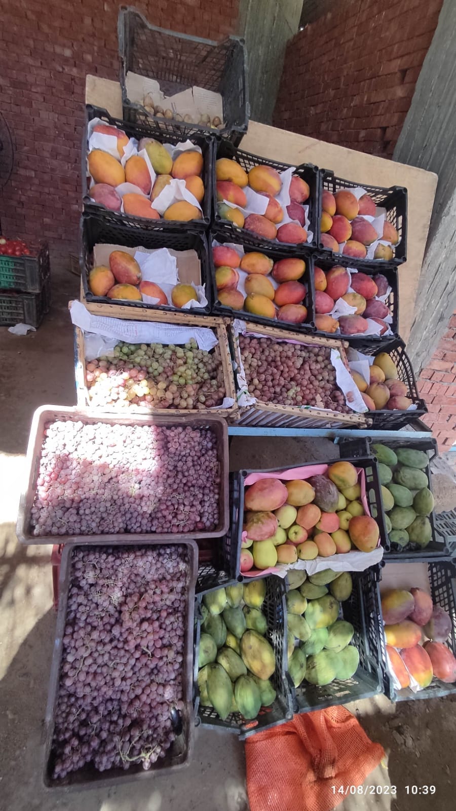 محلية الخارجة توفر الدجاج بـ 100 جنيه لكل 1100 جرام والخضراوات والفواكه