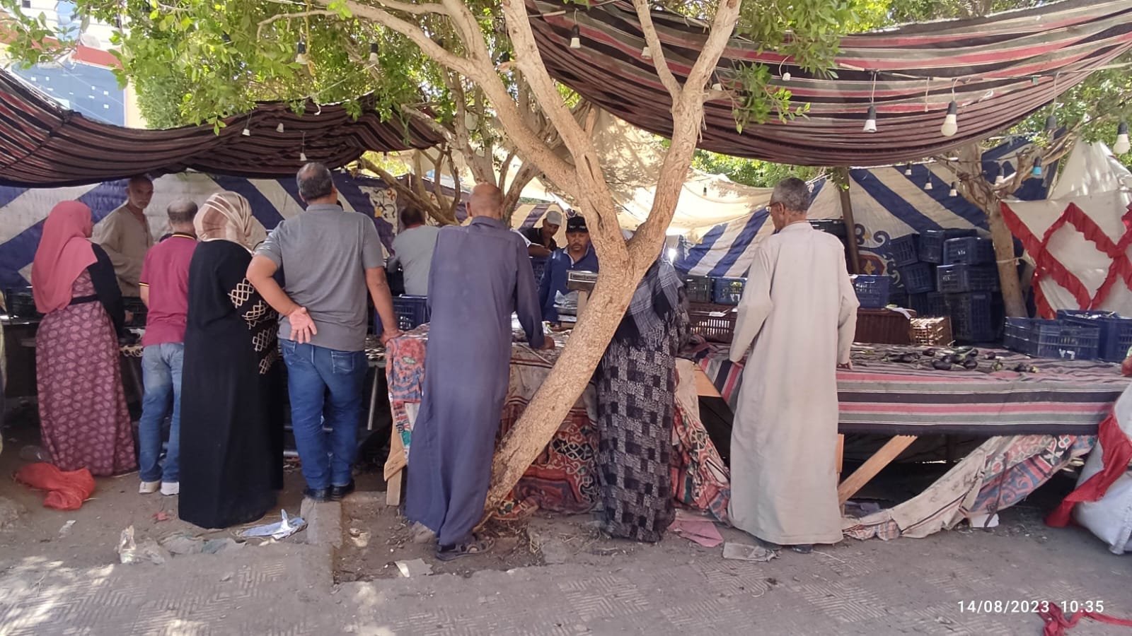 محلية الخارجة توفر الدجاج بـ 100 جنيه لكل 1100 جرام والخضراوات والفواكه