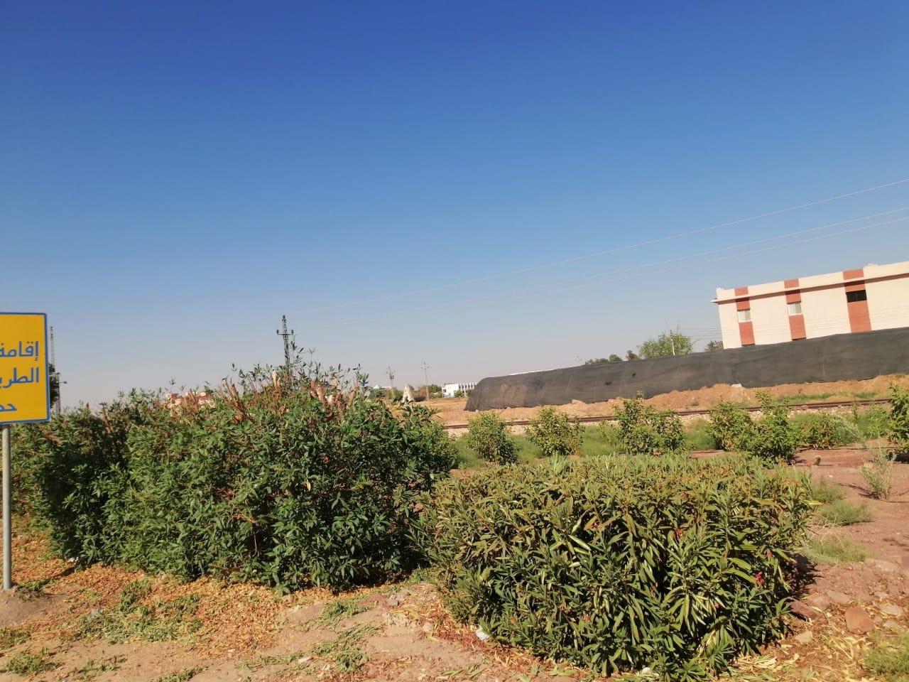 تحسين المظهر العام قرية ناصر الثورة التابعة بمركز الخارجة