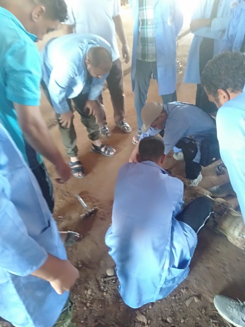 عمل الوادي الجديد: نقوم بتدريب الشباب من الجنسين على المهن الحرفية والبيئية