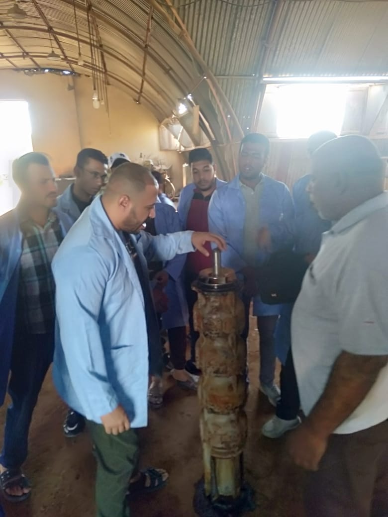 عمل الوادي الجديد: نقوم بتدريب الشباب من الجنسين على المهن الحرفية والبيئية