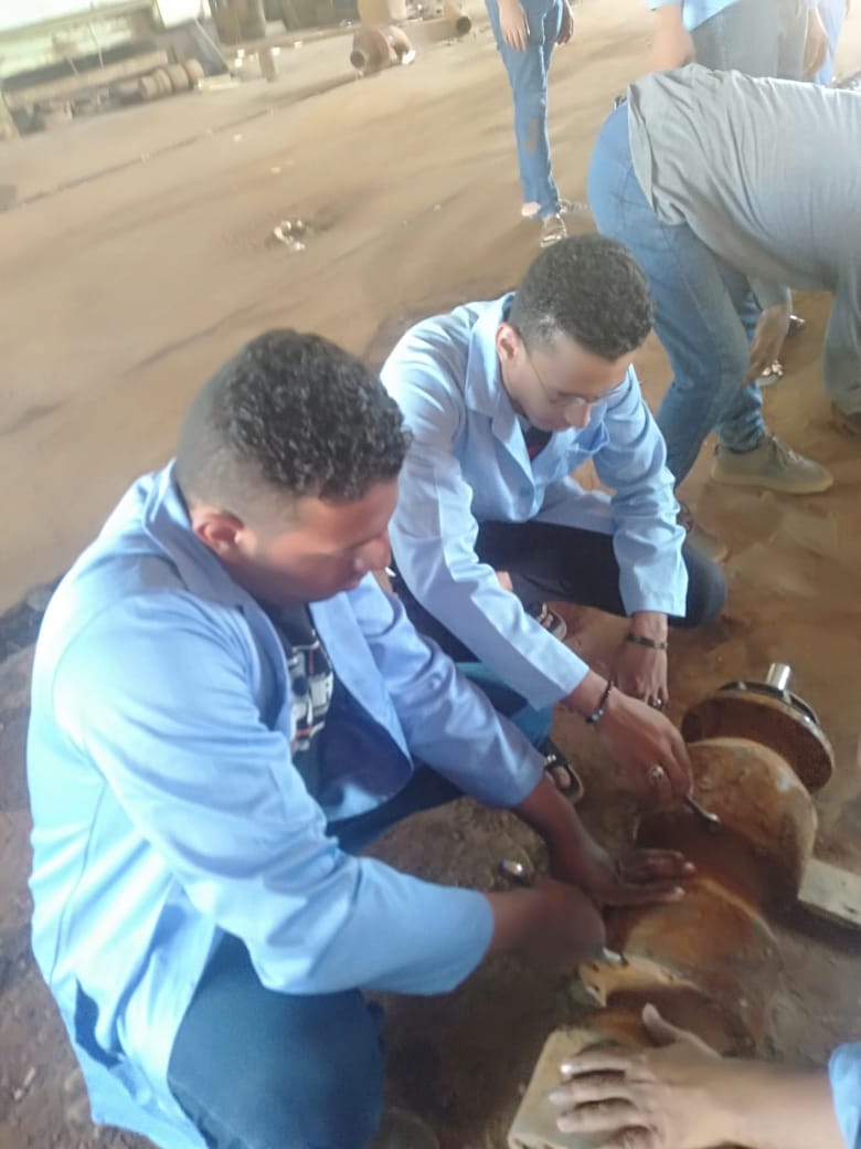 عمل الوادي الجديد: نقوم بتدريب الشباب من الجنسين على المهن الحرفية والبيئية