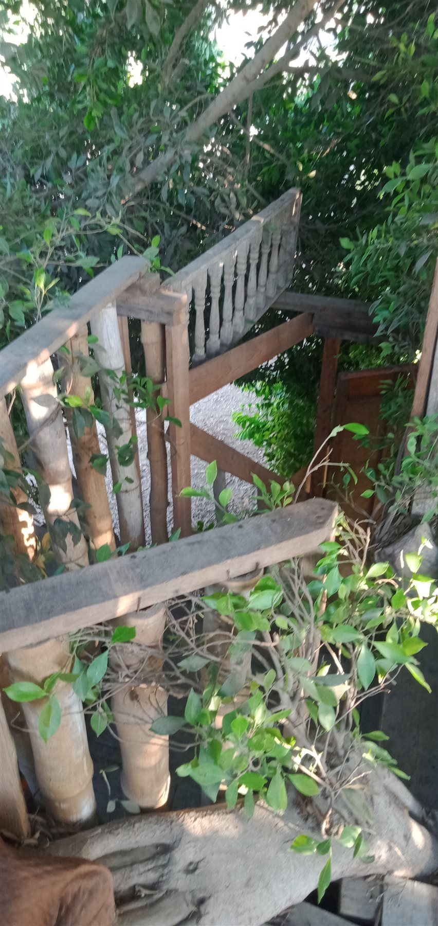 IMG20230715182633