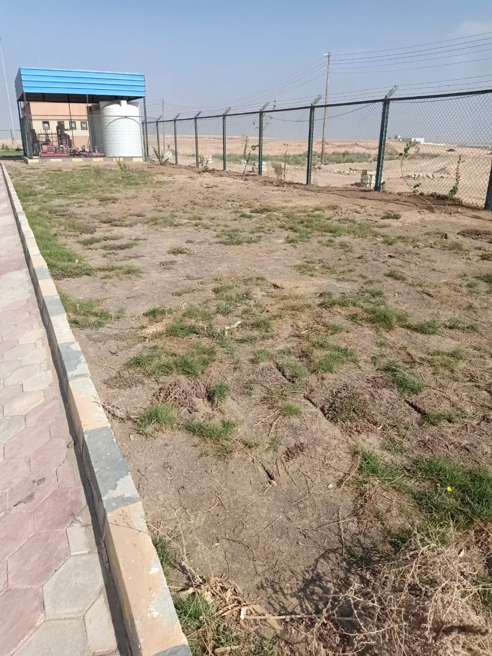 محلية ديروط: متابعة ري المسطح الأخضر بالمحطة الوسيطة للمخلفات الصلبة