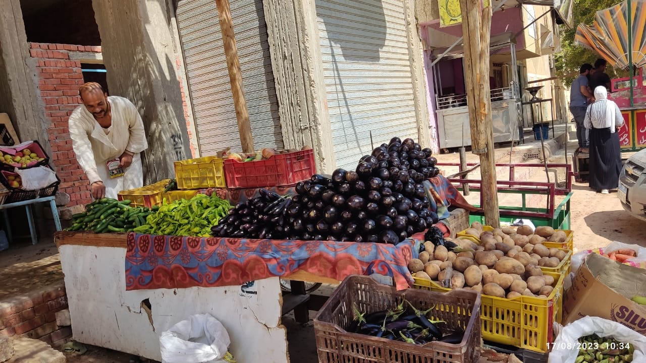 محلية الخارجة: تقيم منافذ بيع للخضر والفاكهة بأسعار مخفضة للمواطنين