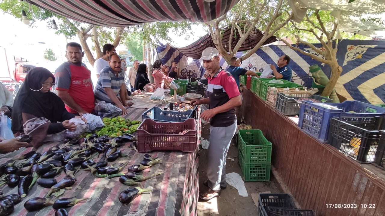 محلية الخارجة: تقيم منافذ بيع للخضر والفاكهة بأسعار مخفضة للمواطنين