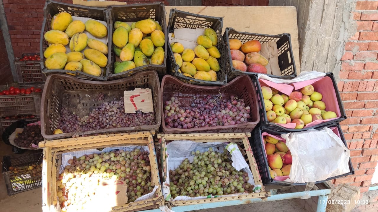 محلية الخارجة: تقيم منافذ بيع للخضر والفاكهة بأسعار مخفضة للمواطنين