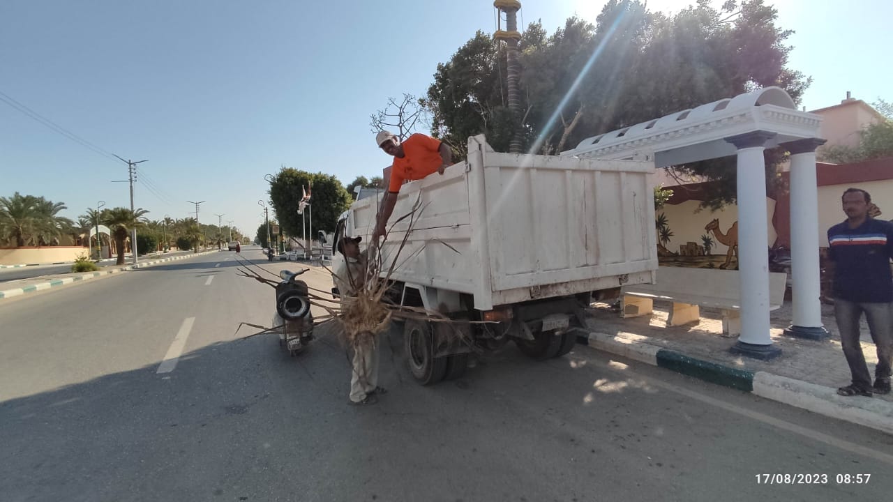 محلية الخارجة: رفع مخلفات زراعية من مدرسة الشهيد طلعت ضرغام