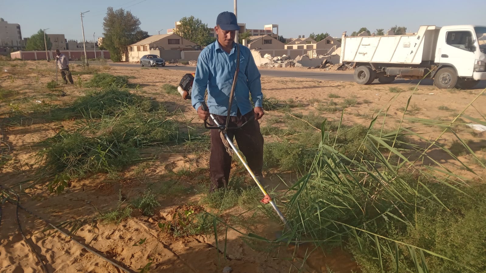 محلية الخارجة: إزالة النباتات العشوائية من حول أشجار الفاكهه في طريق باريس