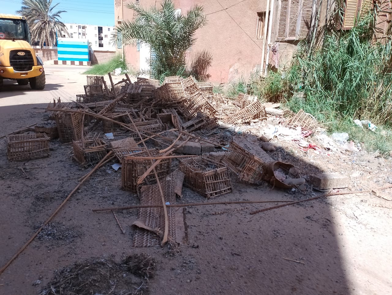 محلية الداخلة: إزالة القمامة والمخلفات والاشغالات والعشش من أسطح العمارات بموط