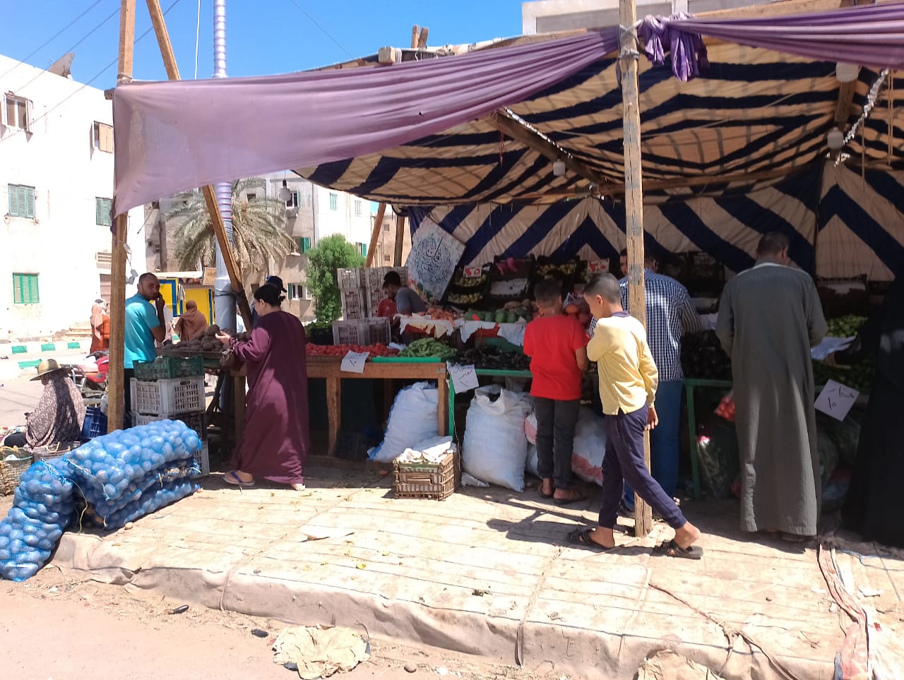 محلية الداخلة: تطرح الخضروات والفاكهة بأسعار مخفضة