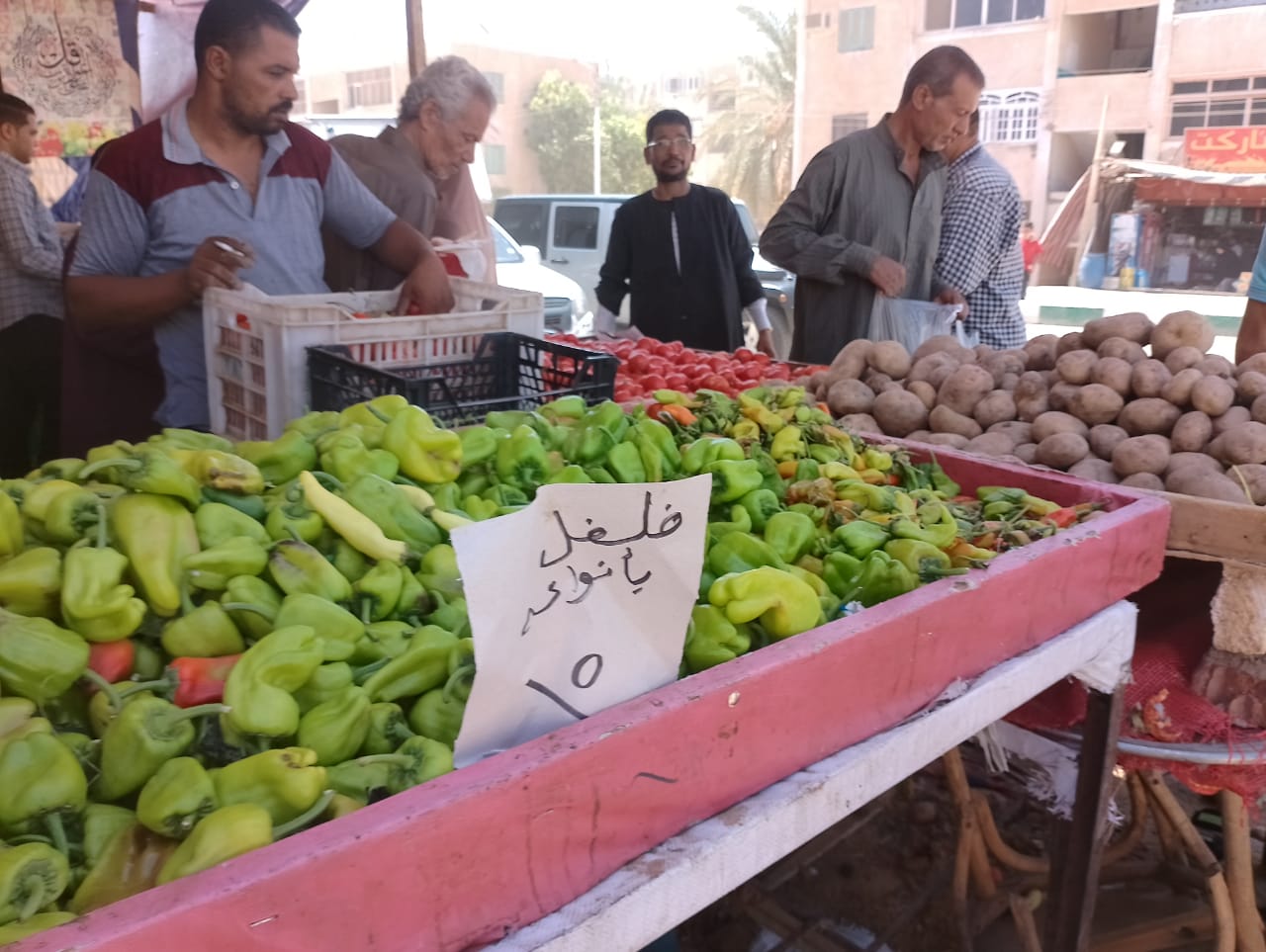 محلية الداخلة: تطرح الخضروات والفاكهة بأسعار مخفضة