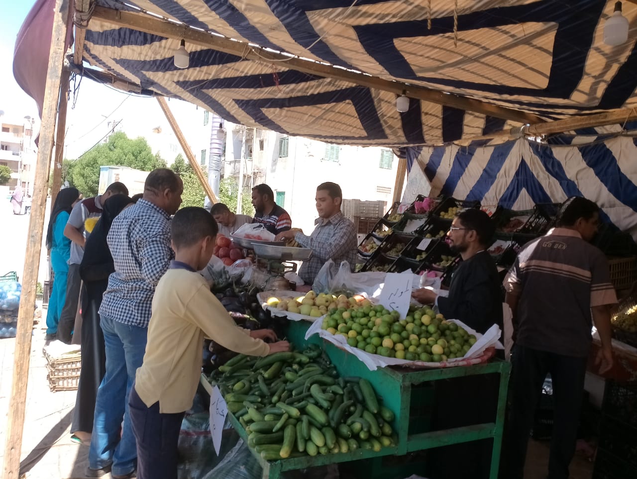 محلية الداخلة: تطرح الخضروات والفاكهة بأسعار مخفضة