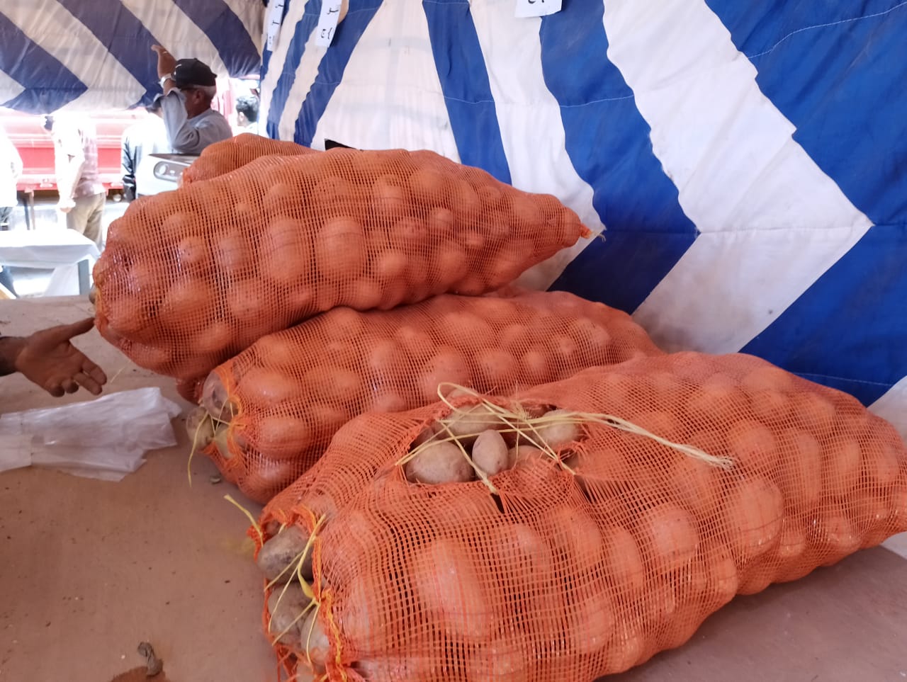 توفير الخضروات والفواكه بأسعار مخفضة في منافذ بيع الوحدة المحلية بالداخلة