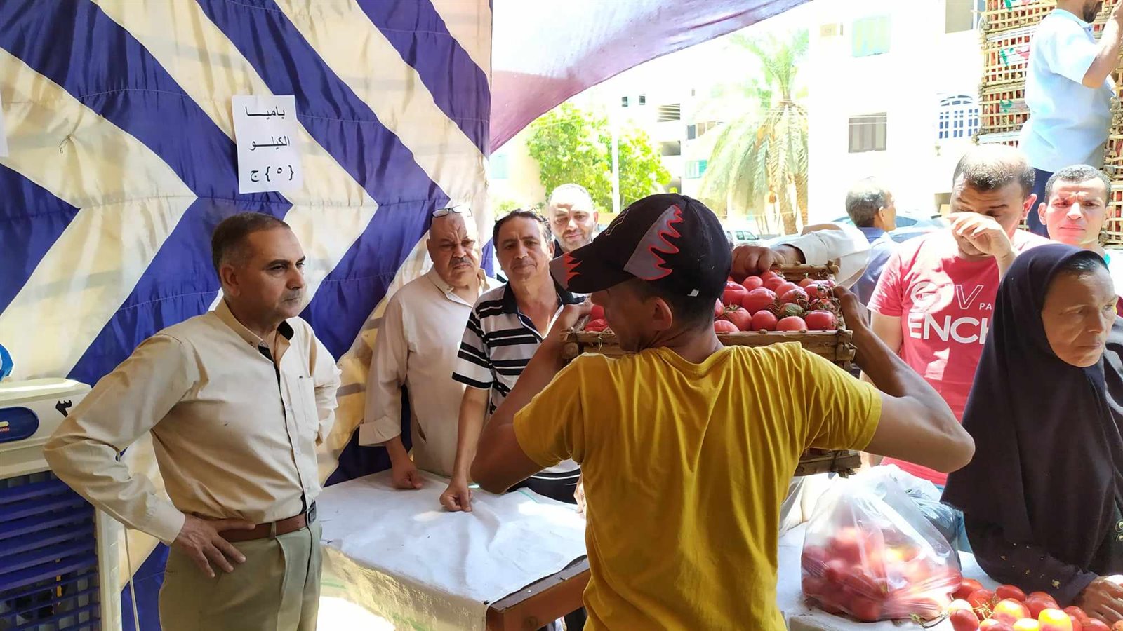 توفير الخضروات والفواكه بأسعار مخفضة في منافذ بيع الوحدة المحلية بالداخلة