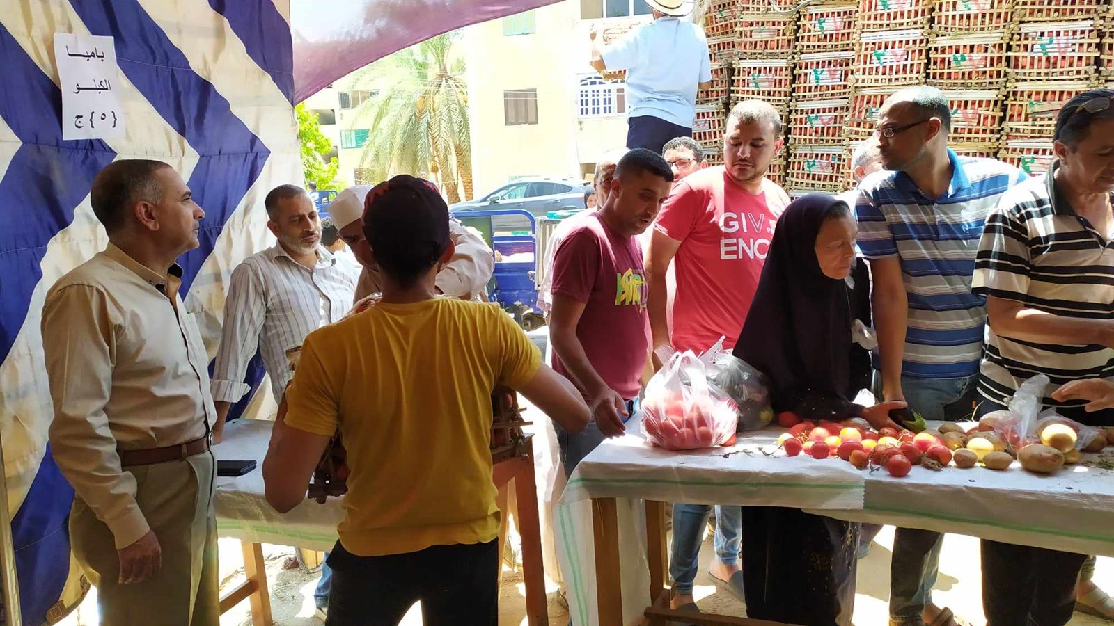 توفير الخضروات والفواكه بأسعار مخفضة في منافذ بيع الوحدة المحلية بالداخلة