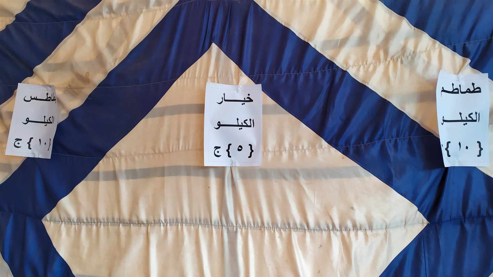 توفير الخضروات والفواكه بأسعار مخفضة في منافذ بيع الوحدة المحلية بالداخلة